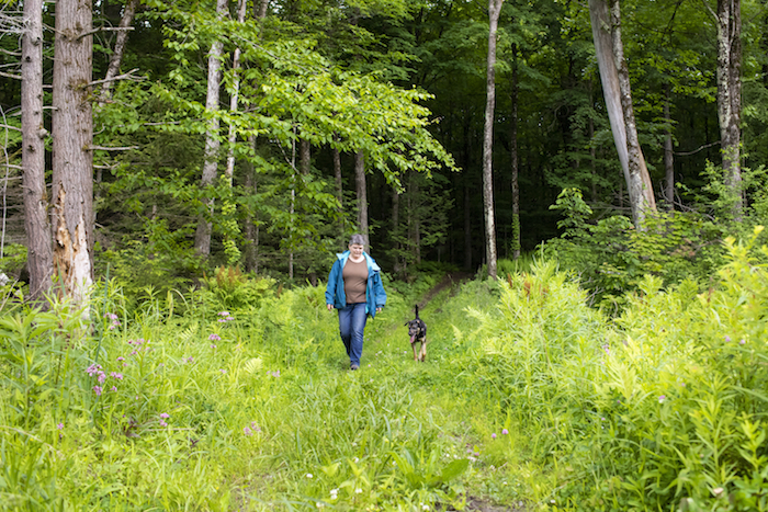 Marilyn Webster and her dog Asha take a springtime walk in the woods.