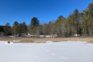view of the trail from the middle of the frozen pond